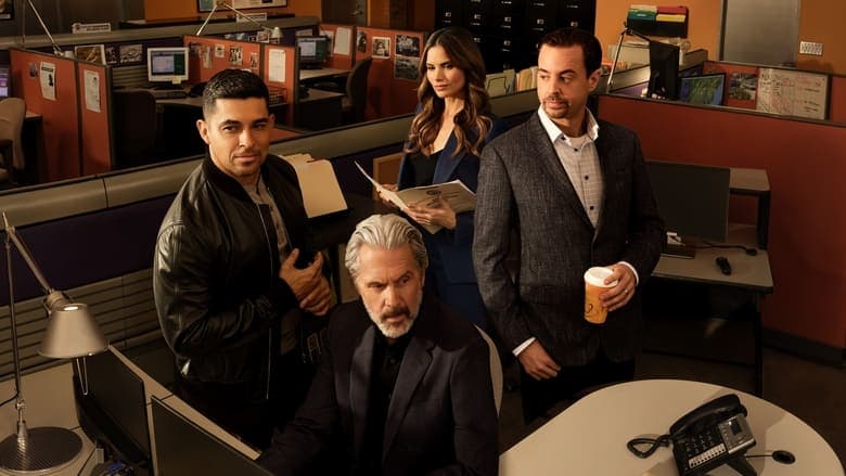 Image de NCIS : Enquêtes Spéciales