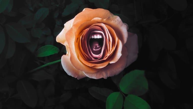 Image de Roar