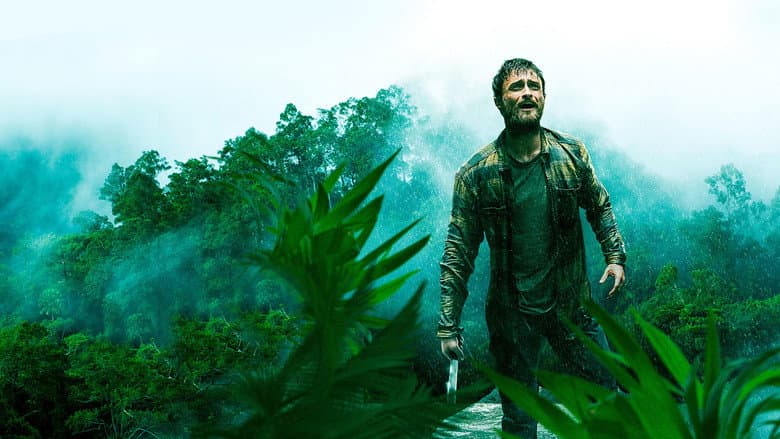 Image de Jungle