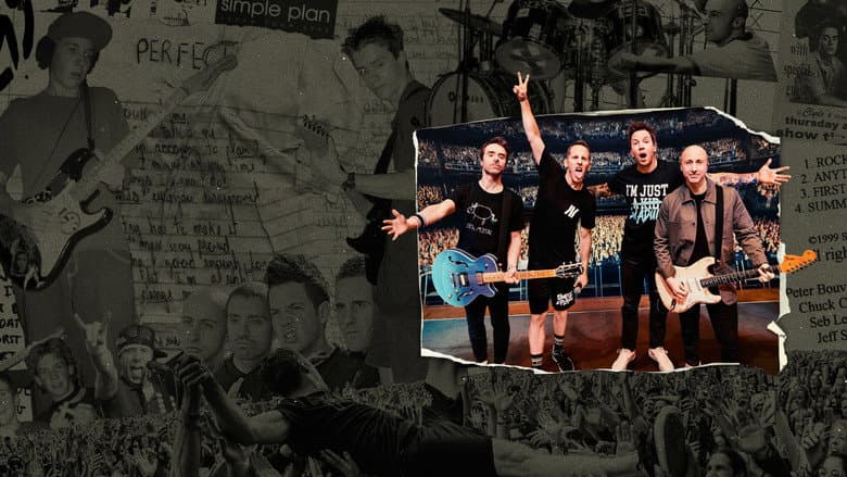 Image de Simple Plan : des jeunes parmi la foule