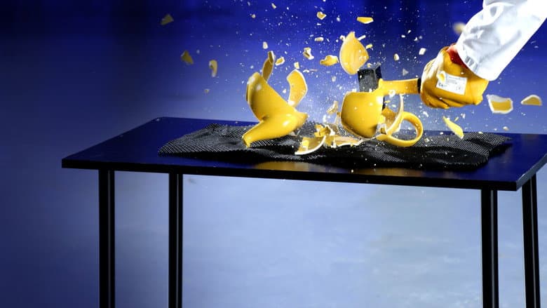 Image de La Science de la bêtise