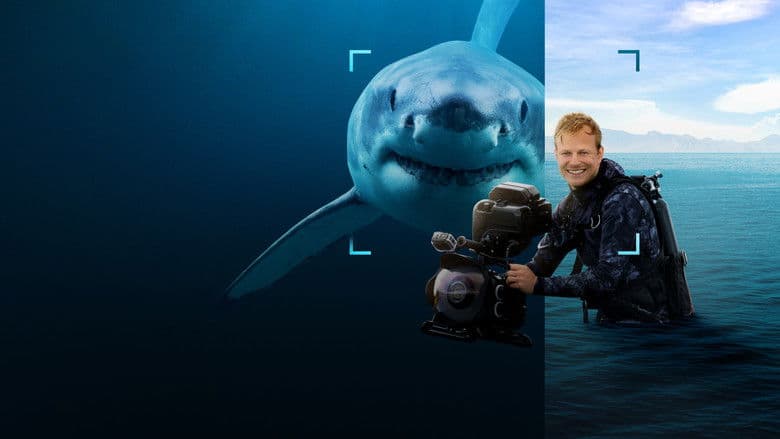 Image de Au plus près des requins avec Bertie Gregory