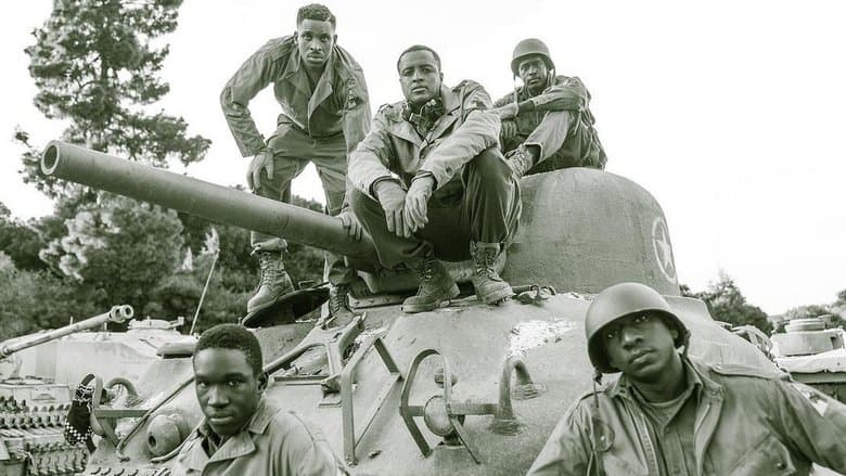 Image de Black Panthers of WWII