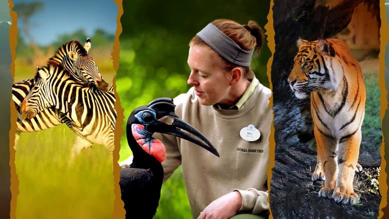Image de Au cœur de Disney's Animal Kingdom