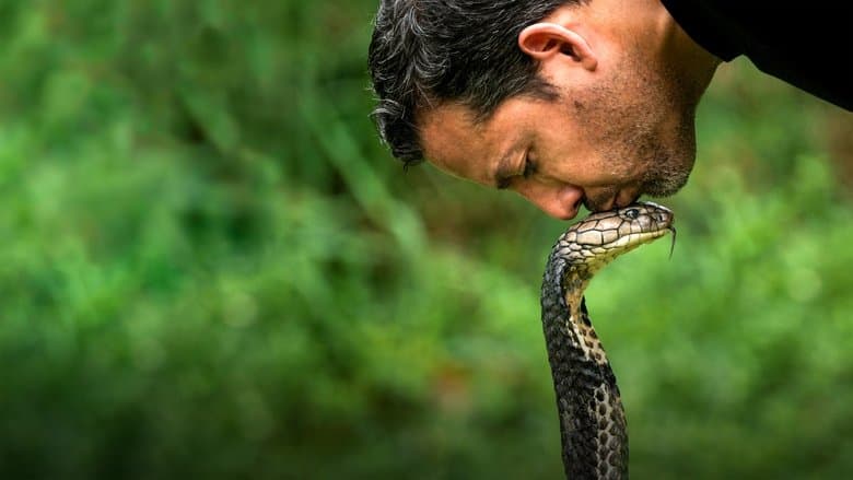 Image de David Blaine : Aux frontières de l'impossible