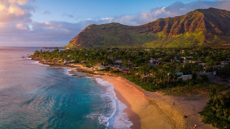 Image de Wild Hawaii