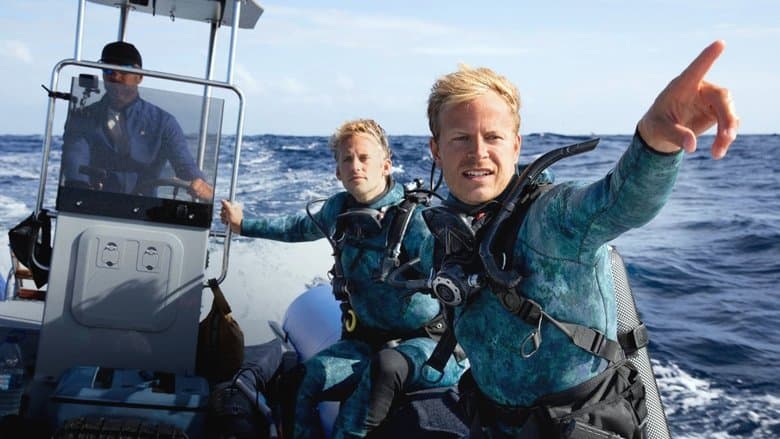 Image de Dolphins Up Close with Bertie Gregory