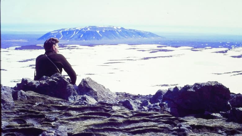 Image de Derniers glaciers, l’Islande face au temps